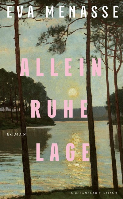 Buchcover zu Das Nebelhaus von Eric Berg. Aus der Kategorie Giftschrank die Nummer G001