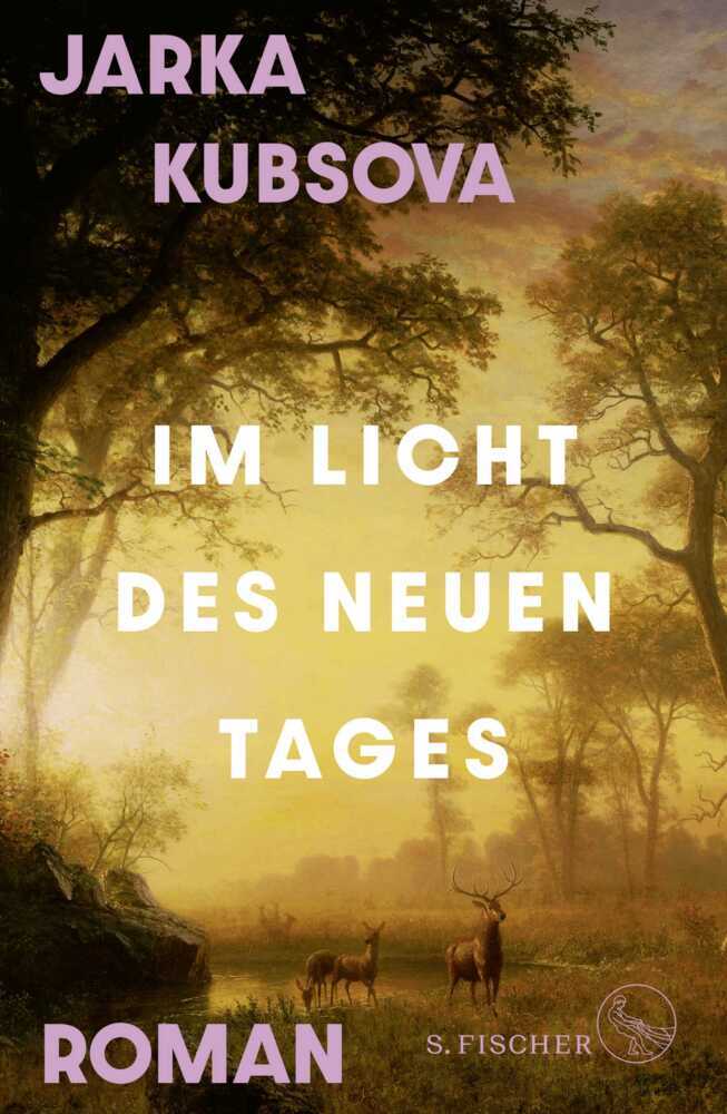 1063440000001A Buchcover zu Das Nebelhaus von Eric Berg. Aus der Kategorie Giftschrank die Nummer G001